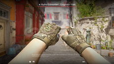 Hydra gloves Hydra gloves