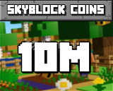 Hypixel Skyblock 12M Coin
