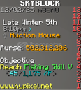 Hypixel 502M Coin