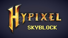Hypixel Skyblock 185m coin