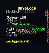 Hypixel Skyblock 200m Coin