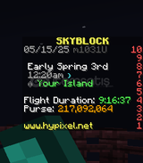 Hypixel Skyblock 200M NW Hesap