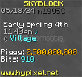 Hypixel Skyblock 2.5B Coin