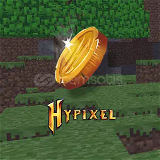Hypixel Skyblock 20M COİN