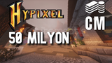 Hypixel Skyblock Coin