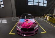 CPM2 - F90 -Pembe Panter Çizimli