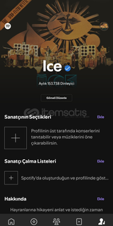 Ice Spotify 150k sanatçı hesabı