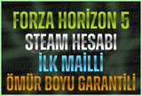 ⭐️İLK MAİL⭐FORZA HORİZON 5 STEAM HESABI