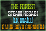 ⭐️İLK MAİL⭐️THE FOREST STEAM HESABI