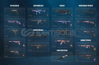 [İLK MAİLLİ] 24K VP + Skinli Hesap [En Ucuz!]