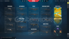 İLK MAİLLİ CHAMPİONSLU VALORANT HESABI