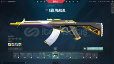 İLK MAİLLİ DOLU HESAP