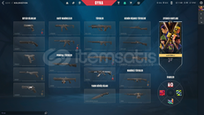 İlk mailli vandal skinli temiz hesap