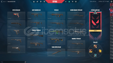 İLK SAHİBİNDEN 3 SKİNLİ FAZLALIK