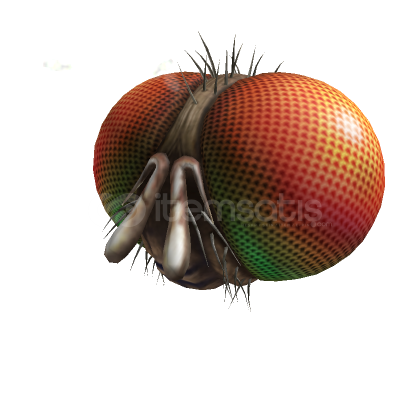 ⭐️Roblox❤️Freaky Fly Face❤️ ⭐️Roblox❤️Freaky Fly Face❤️