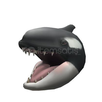 ⭐️Roblox❤️Hungry Orca❤️ ⭐️Roblox❤️Hungry Orca❤️