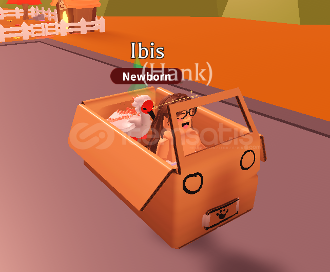 Imagination Box adopt me Imagination Box adopt me