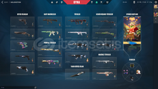 İMMO 1 DOP DOLU PREMİUM HESAP TR