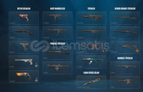 IMMO 2 MAINLEMELIK SKINLI HESAP