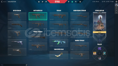 İmmo görmüş asil karambitli hesap