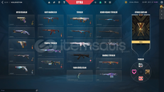 İmmo görmüş dolu valo hesabı