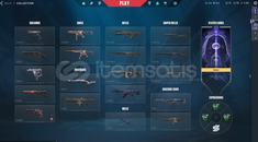 İmmo görmüş dopdolu hesap