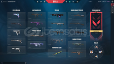 İmmo2 peak yücelik skinli hesap