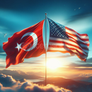 İngilizce'den Türkçe'ye profesyonel çeviri