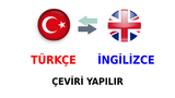 İngilizce Metin Çevisiri