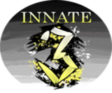 Innate Slot 3 Jujutsu Infinite