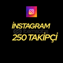 İnstagram 250 Takipçi