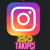 İnstagram 250 Kaliteli Takipçi 