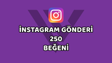 İntagram Gönderi 250 Beğeni