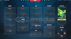 ion vandallı başlangıç hesabı acilll