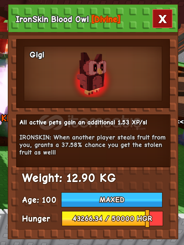 ⭐100 AGED IRONSKİN BLOOD OWL GROW A GARDEN⭐ ⭐100 AGED IRONSKİN BLOOD OWL GROW A GARDEN⭐