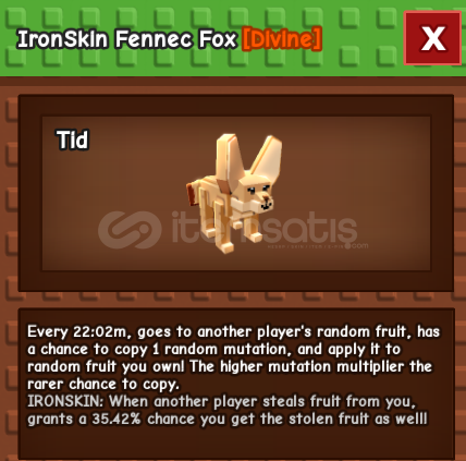 Ironskin-fennec fox Ironskin-fennec fox