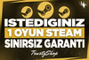 İstediğiniz 1 Oyun + Ömür Boyu Garanti & Destek