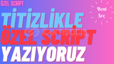 İstediğiniz 2 adet script yazılır