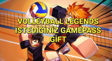 VOLLEYBALL LEGENDS İSTEDİĞİNİZ GAMEPASS | GİFT