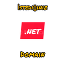 İstediğiniz net domain