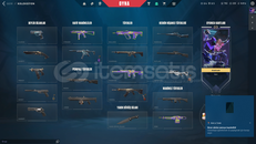 İYON OPARETÖRLÜ VANDALLI MAİLLİ HESAP