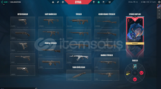 İYON VANDAL + 300 VP Lİ HESAP