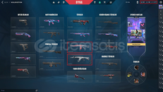 İYON VANDALLI TR SERVER DOLU HESAP