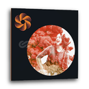 iZotope - Nectar 3 Plus WİN-MAC