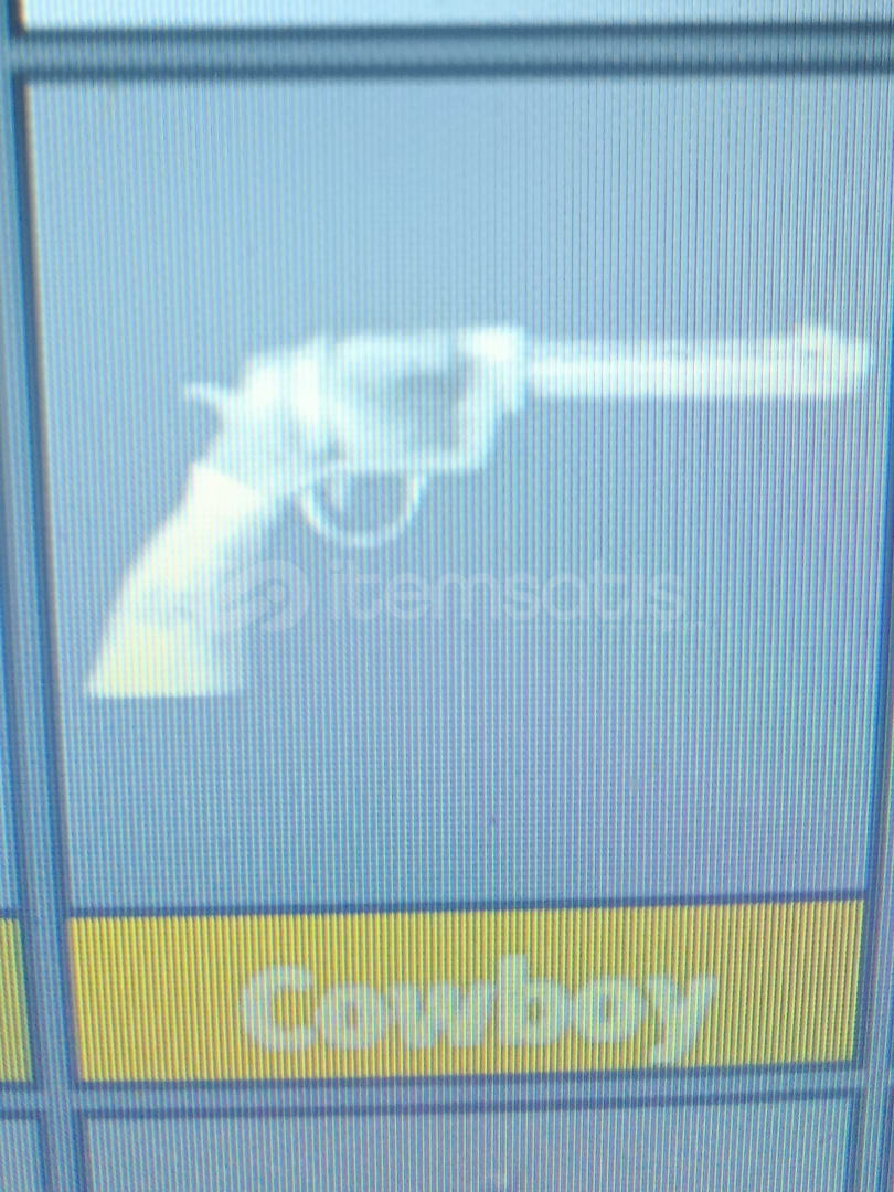 Cowboy Cowboy