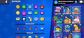 Kahraman bibi 94 savaşçı 30+ Max seviye savaşcı