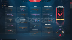 ⭐KALİTE + ASİL + GAİA VANDAL + SİLVER 2⭐ ⭐KALİTE + ASİL + GAİA VANDAL + SİLVER 2⭐