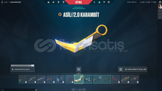✨Süper | Asil Karambit/Gaia Vandal/İon Sherrif✨
