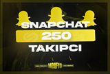 ⭐[KALİTELİ] SNAPCHAT 250 TAKİPÇİ⭐