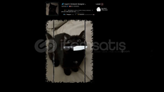 Kaliteli Steam Artwork 13 | Hızlı Teslim